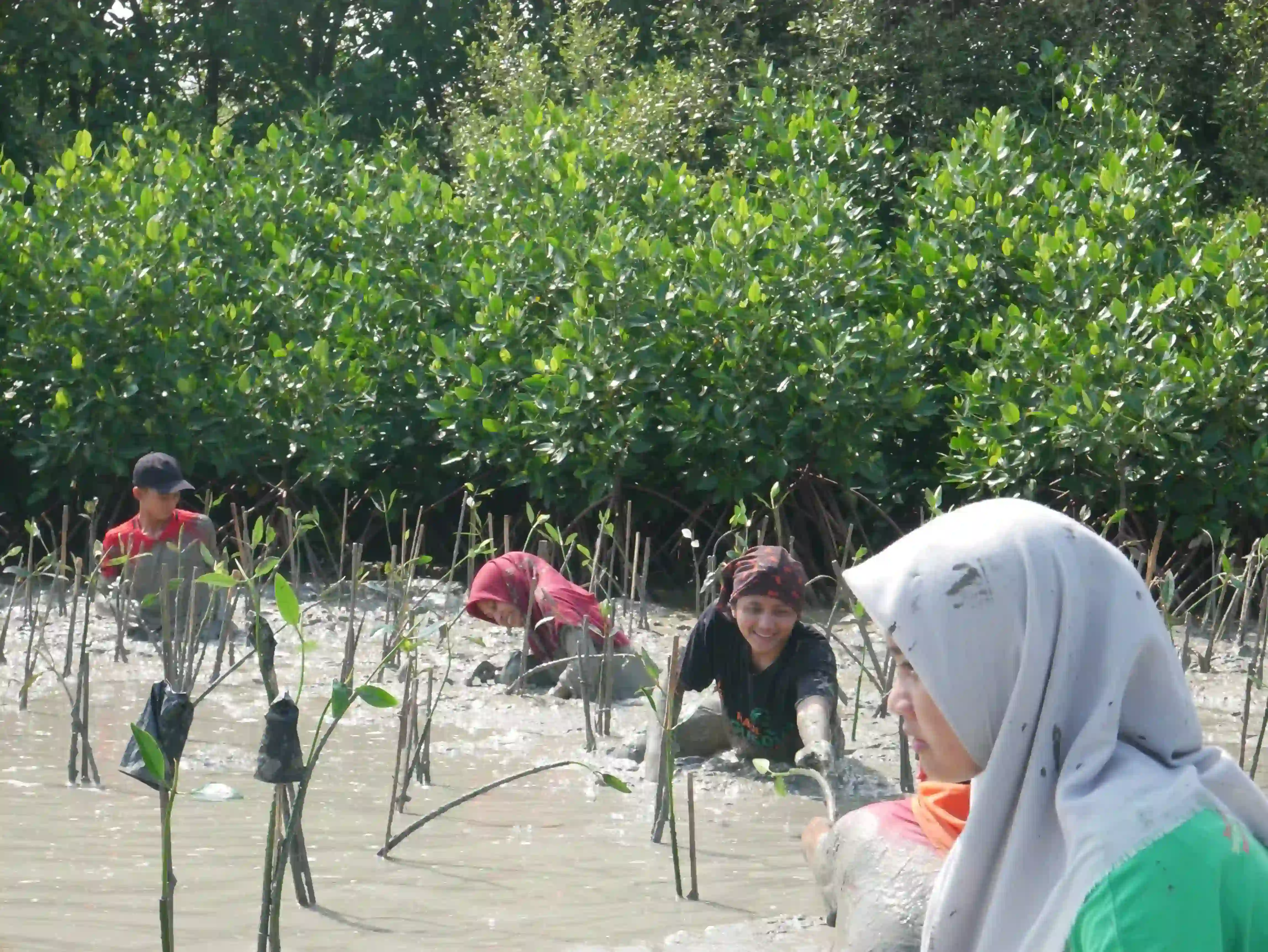 Sedekah Pohon LindungiHutan